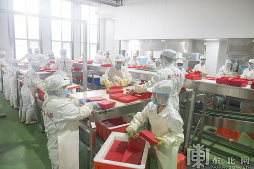 哈经开区平房区食品企业获评国内营养餐行业首家国家绿色工厂，彰显可持续发展新标杆
